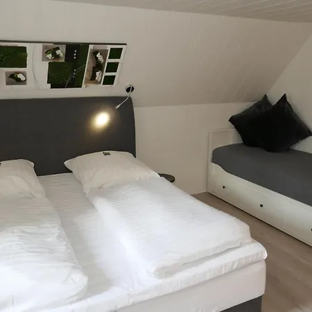 Hotel Gasthof Handewitt 3*